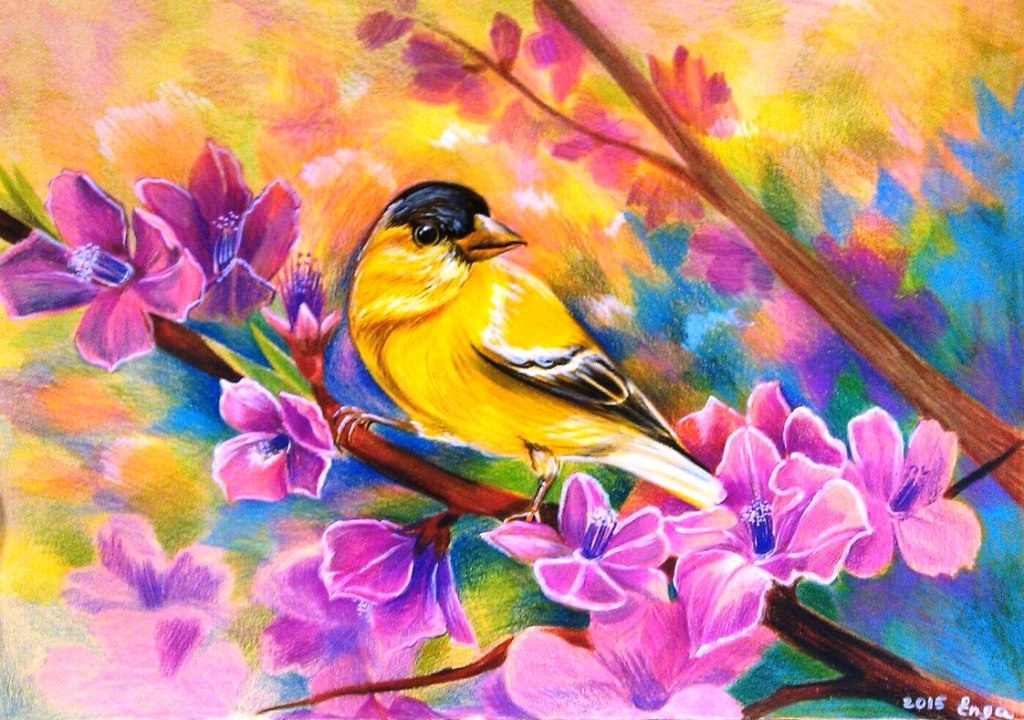 Птица, тонир.бумага, цветные карандаши, 35х45, 2014 г. Энгельсина Лобанова