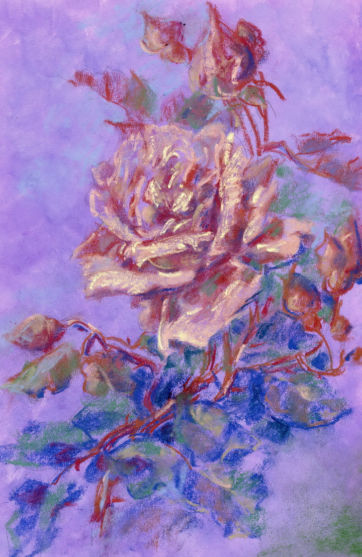 Кремовая роза. Бумага, пастель, 20х30 см., 2015 г. Нина Сегида